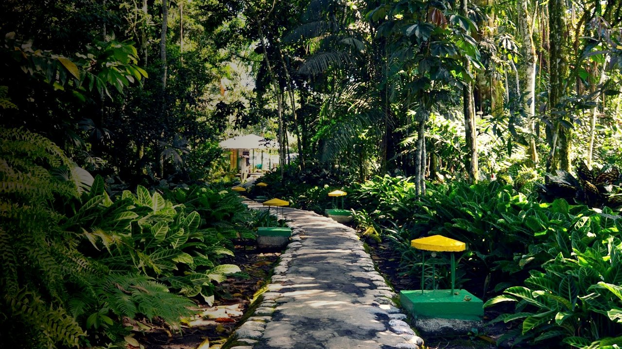 Home #3 Slide background