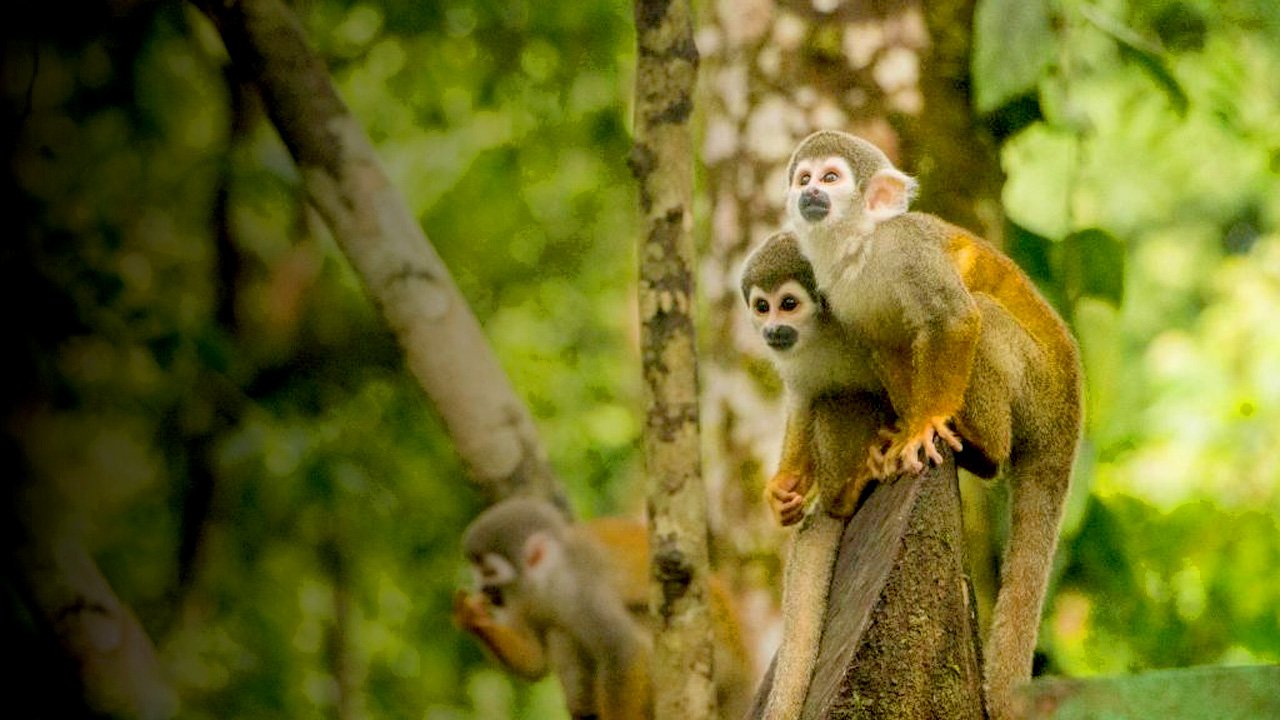 Home #1 Slide background