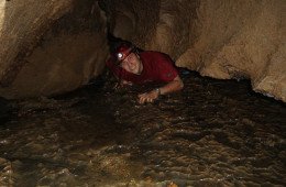 DSC02782.JPG