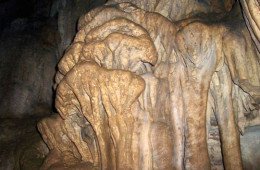 cuevas03