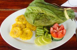 tilapia
